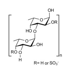 Fucoidan polysaccharide from Durvillea antarctica