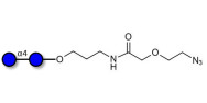 Maltose DP2 with terminal...