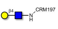 N-Acetyl-D-Lactosamine...