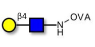 N-Acetyl-D-Lactosamine...