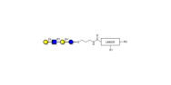 Lacto-N-tetraose (LNT) with...