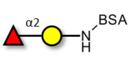 Blood group H antigen...