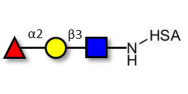 Blood group H antigen...