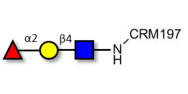 Blood group H antigen...