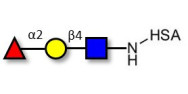 Blood group H antigen...