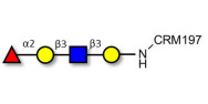 Blood group H antigen...