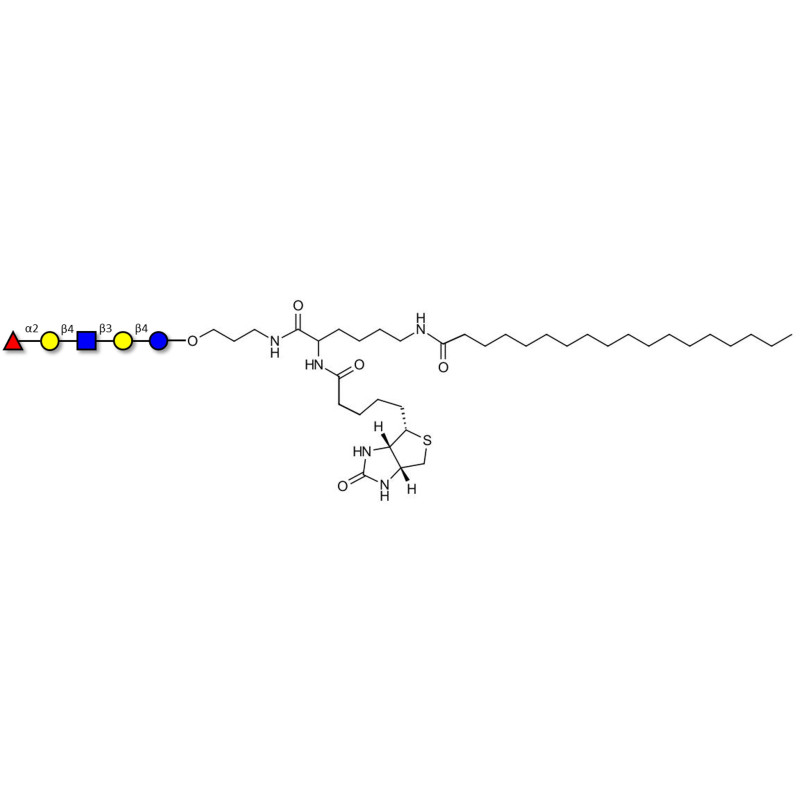 Core Structures grafted on gel for affinity chromatography