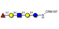Blood group H antigen...