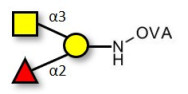 Blood group A antigen...