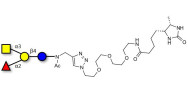 SSEA-4 hexaose analogue type 2