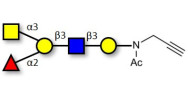 Blood group A antigen...