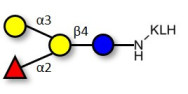 Blood group B antigen...