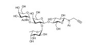 Glucose-β-Aminopropyl