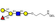 Blood group B antigen...
