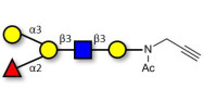 Blood group B antigen...