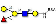 Blood group B antigen...