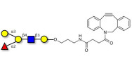 Blood group B antigen...