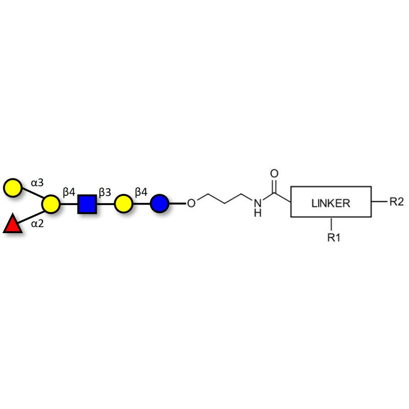 Blood group A antigen hexaose type 1 grafted on gel for affinity