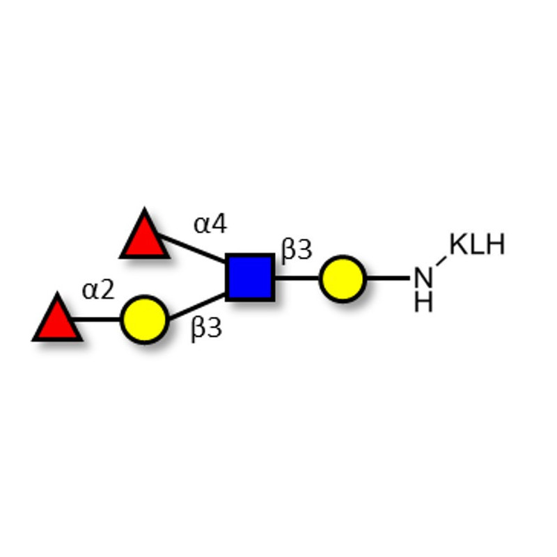 Lewis y (Ley) pentaose grafted on gel for affinity chromatography
