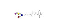 3’-Sialyl-3-Fucosyllactose...