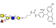 Xylan polysaccharide from...