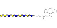 Galili antigen nonaose with...