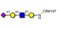 Sialylated tetraose type 2...