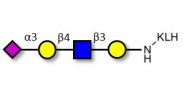 Sialylated tetraose type 2...