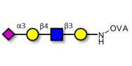 Sialylated tetraose type 2...