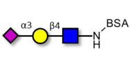 Sialylated triose type 2...