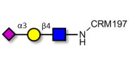 Sialylated triose type 2...
