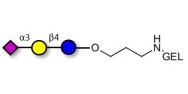 3'-Sialyllactose (3'-SL) /...