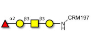 Blood group H antigen...