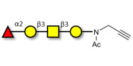 Blood group H antigen...