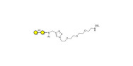 α1-4 galactobiose grafted...