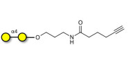 α1-4 galactobiose with...