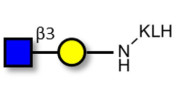 GlcNAcβ1-3Gal grafted on KLH