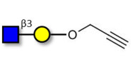 GlcNAcβ1-3Gal with terminal...