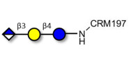 Glucuronyl-lactose grafted...