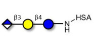 Glucuronyl-lactose grafted...