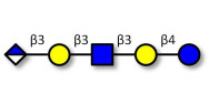 Glucuronyl-Lacto-N-tetraose...