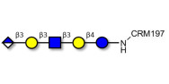 Glucuronyl-Lacto-N-tetraose...