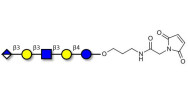 Glucuronyl-Lacto-N-tetraose...