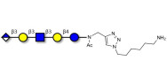 Glucuronyl-Lacto-N-tetraose...