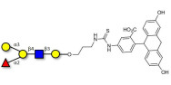 Globotetraose (Gb4)  (90% NMR)