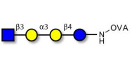 Isoglobotetraose (iGb4)...