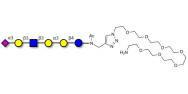 Sialylated isoglobopentaose...