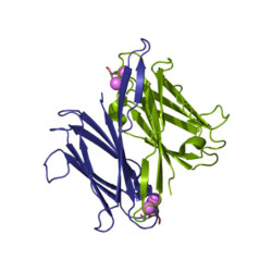 BC2LA from Burkholderia cenocepacia