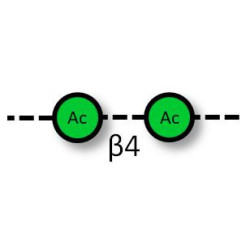 Acemannan polysaccharide from Aloe vera
