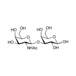 Gb4 Globoside terminal grafted on polyacrylamide (PAA) with fluorescein